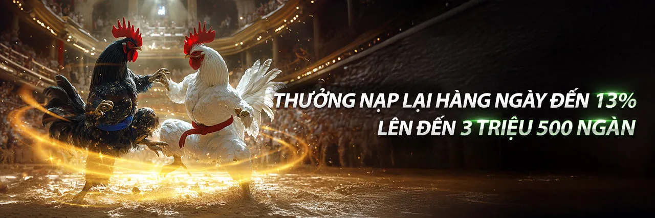 hl8 Khuyến Mãi – Dịch vụ hỗ trợ khách hàng chuyên nghiệp